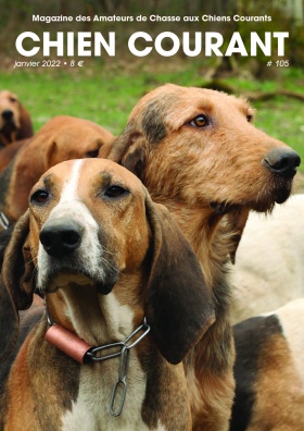 Votre chienne jouis pour vous